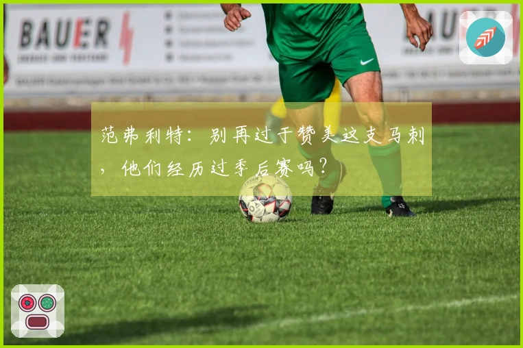 范弗利特：别再过于赞美这支马刺，他们经历过季后赛吗？